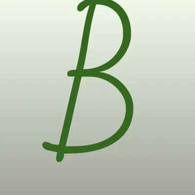 Bali Spa, салон, лого-визитка