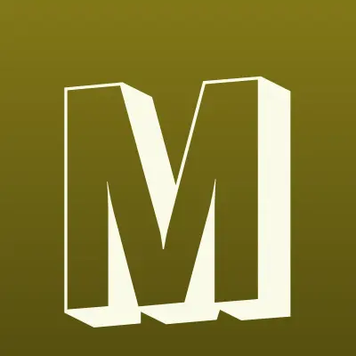 Mego Servis, ремонтная мастерская, лого-визитка