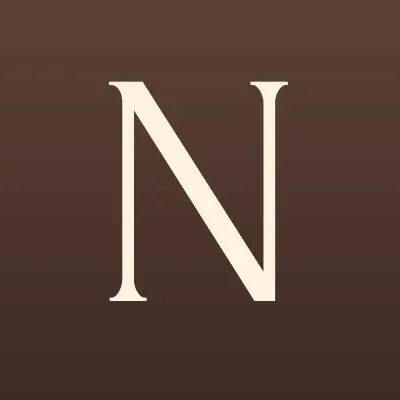 NP STYLE, торговая компания, лого-визитка
