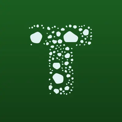 ТС-ТЕРМИНАЛ, таможенный склад, лого-визитка